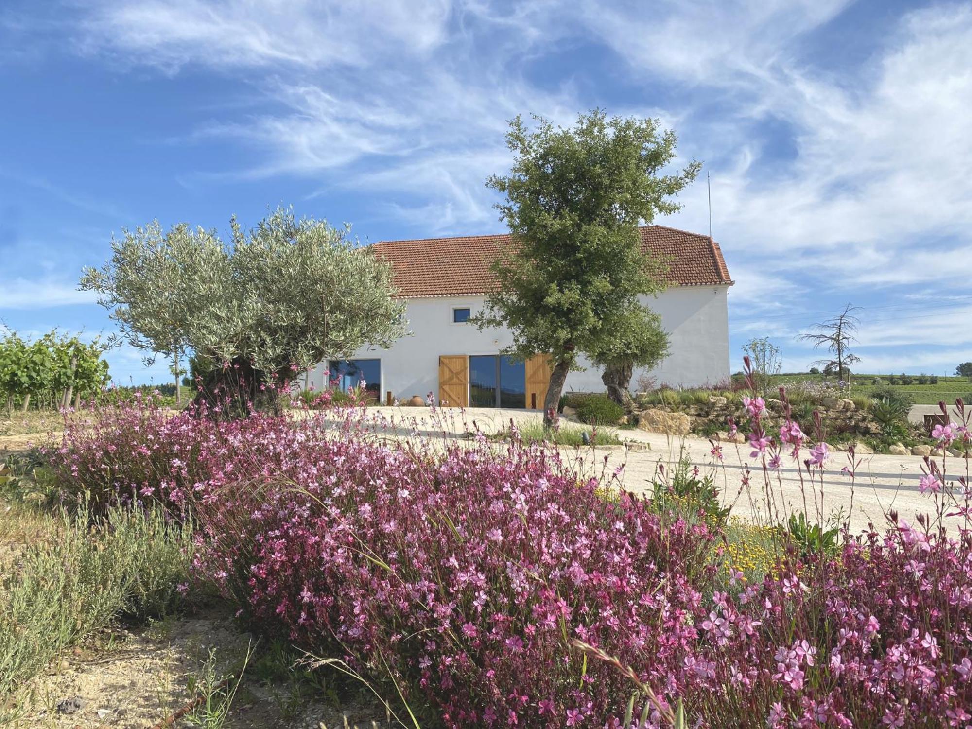 Cas'Amaro Villa Alenquer Luaran gambar